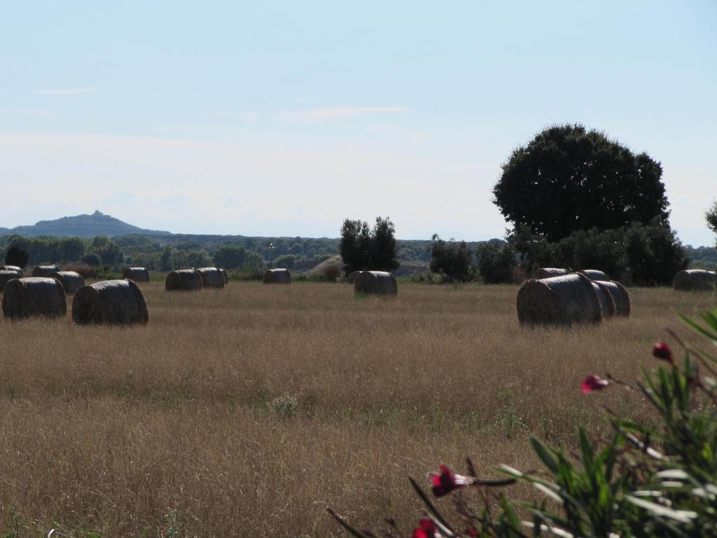 Villa Azienda Agrituristica Allumiere à Campiglia Marittima Extérieur photo